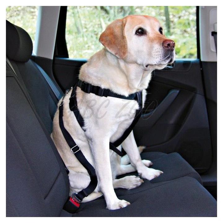 Zaawansowane technologie pasów