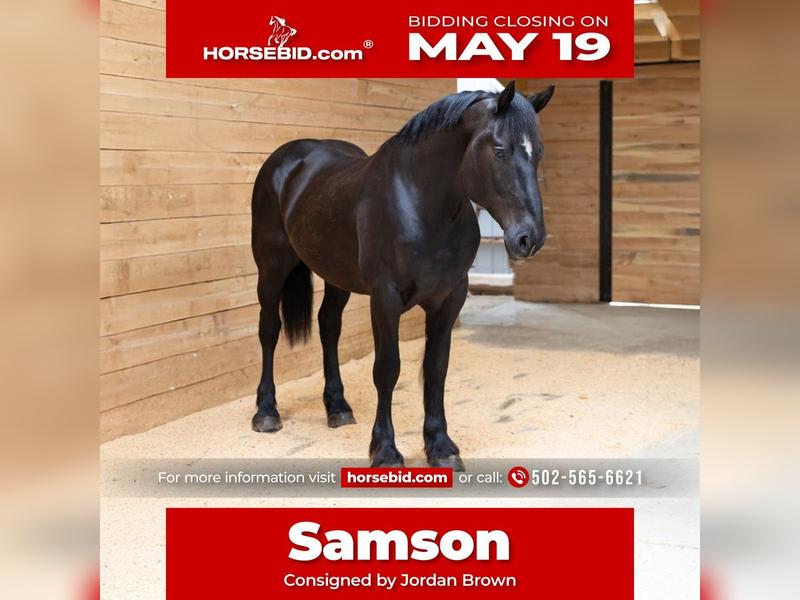 Porównanie ofert siłownia