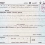 Co grozi za niespłacenie mandatu? Prawne i finansowe konsekwencje, o których warto wiedzieć