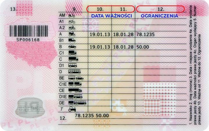 Czy kurs na prawo jazdy może przepaść? Oto sposoby na zachowanie ważności i uniknięcie kosztów