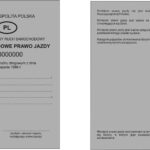 Międzynarodowe prawo jazdy – na ile lat jest ważne i kiedy należy je odnawiać?
