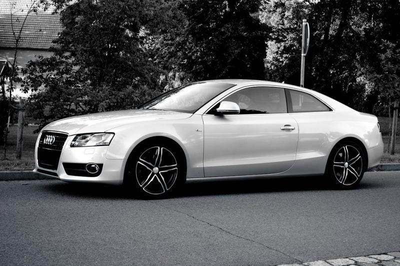 Formalności celne i rejestracyjne