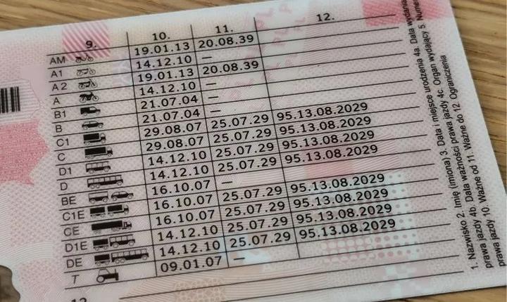 Wygląd prawa jazdy kod 95